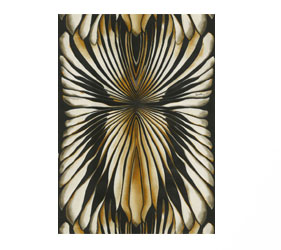modern wallpaper black and gold color 