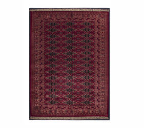 Red Tribal carpet with a classic oriental design 